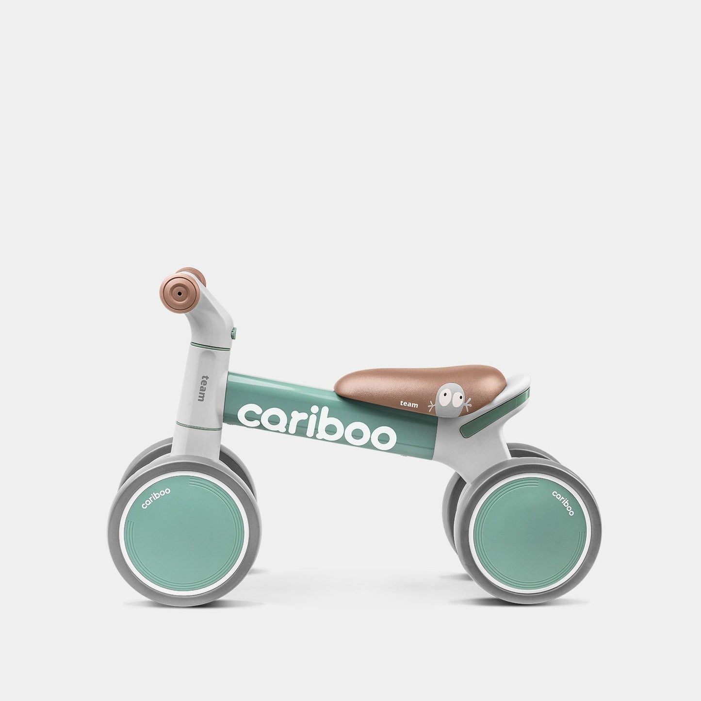 Cariboo Team (green)